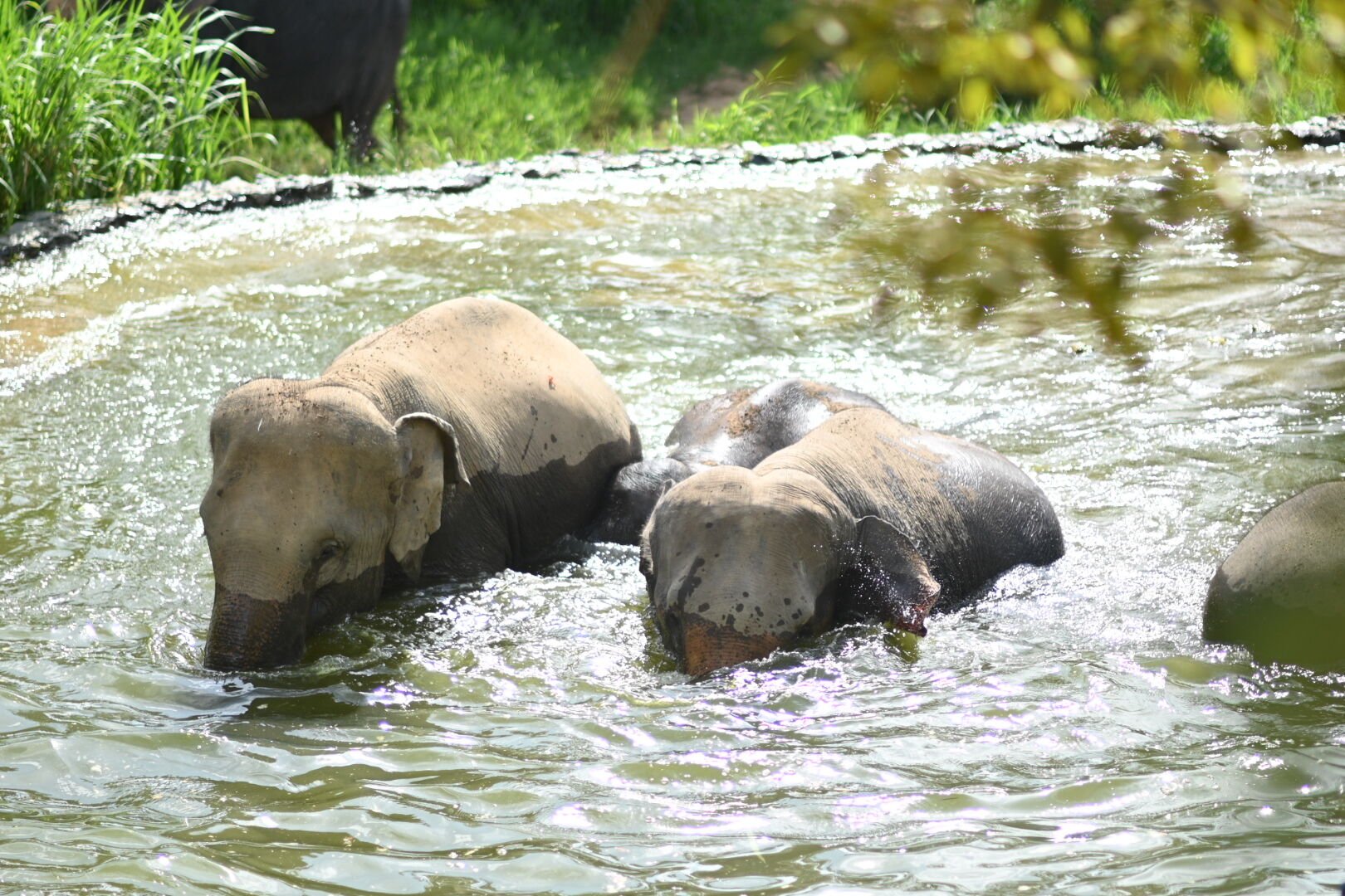 Indulging in Meaningful Wellness experiences in Koh Samui | News by Thaiger