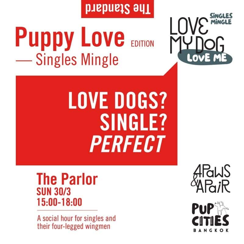 Love My Dog, Love Me at The Parlor